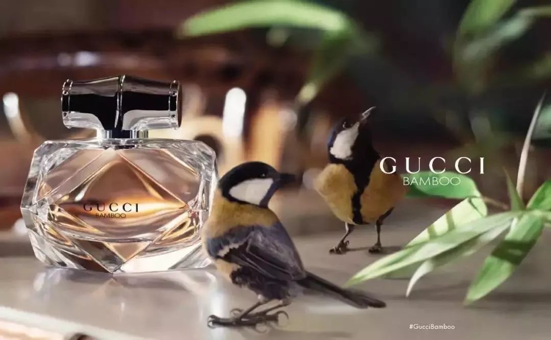 gucci beauty搞出清朝美人图 大胆猜猜要搞什么? | 八公举