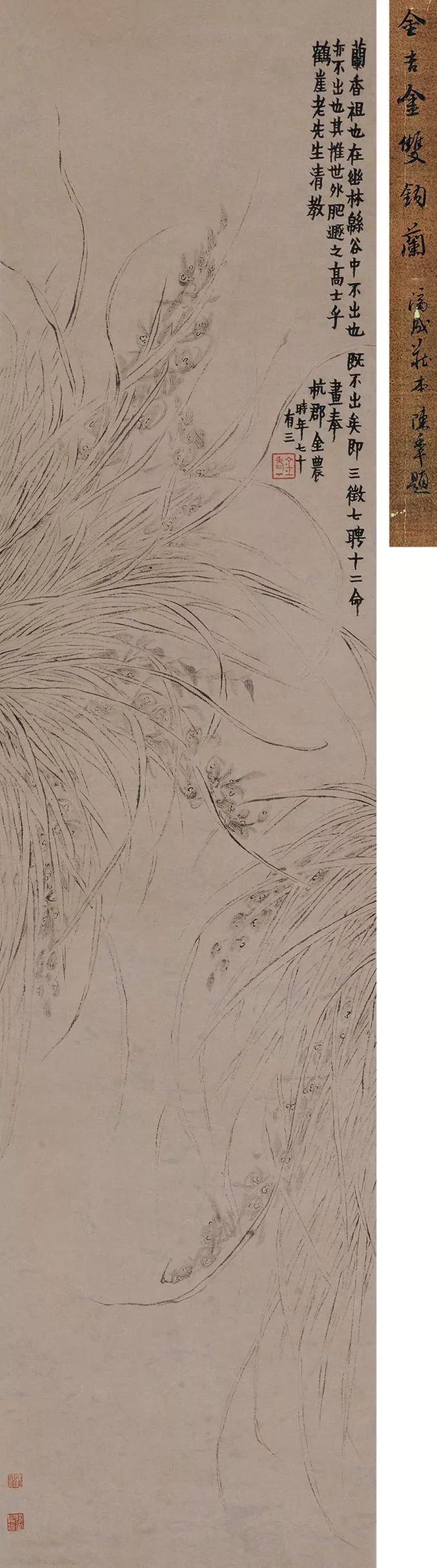 金农|五十岁开始学画,终成一代名家(130幅)