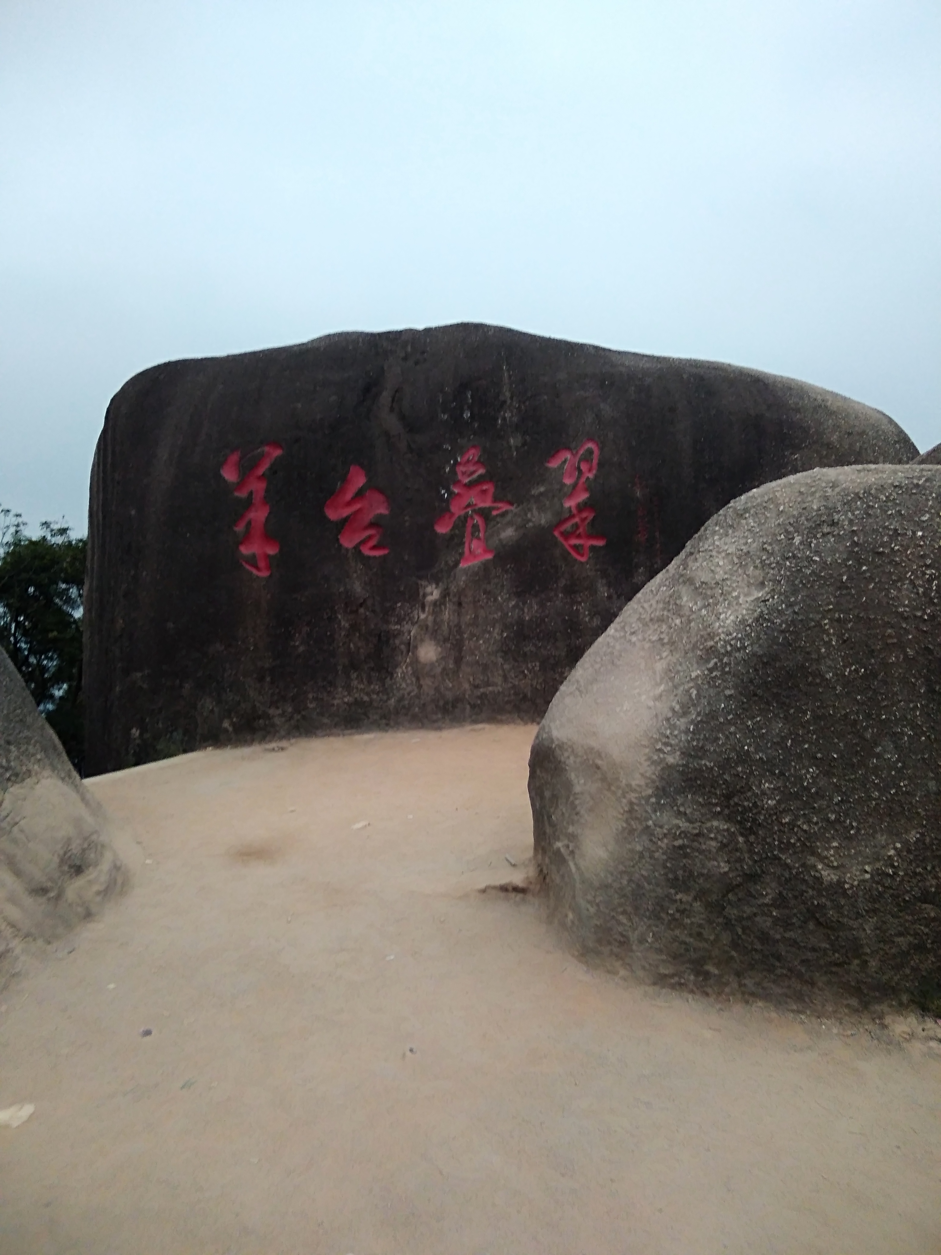 1/ 13 羊台山顶标志性风景 这是登山见过最美的花朵了 约好友野炊