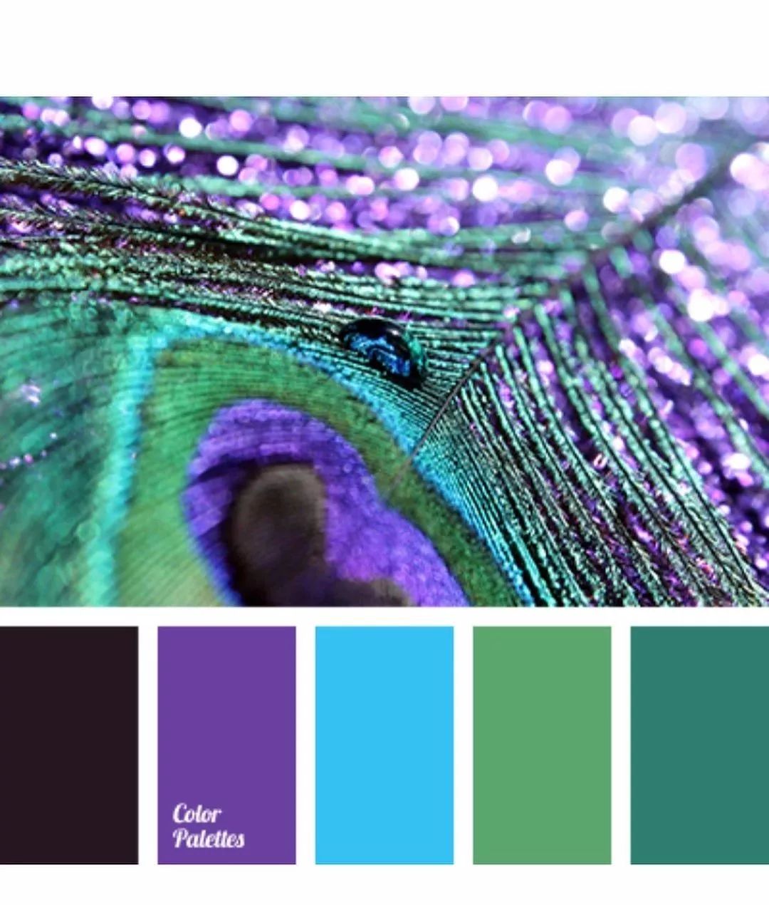 色彩| 孔雀绿,孔雀蓝,孔雀紫,漂亮的孔雀色颜色搭配