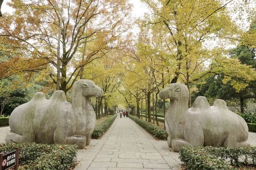 区紫金山南麓钟山风景区内,前临平川,背拥青嶂,东毗灵谷寺,西邻明孝陵