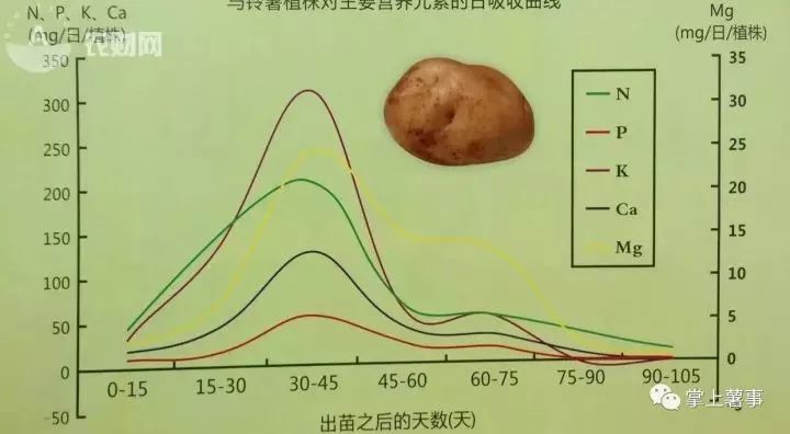 马铃薯生育期吸收营养有什么规律