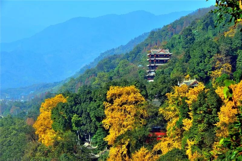 灵岩山视野开阔,能远眺都江堰水利工程和八百里青城群峰,让人胸怀