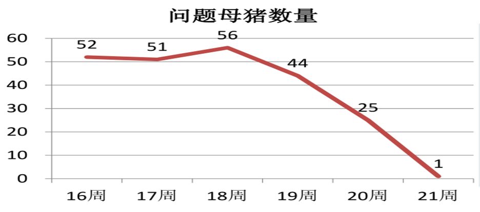 母猪GDP