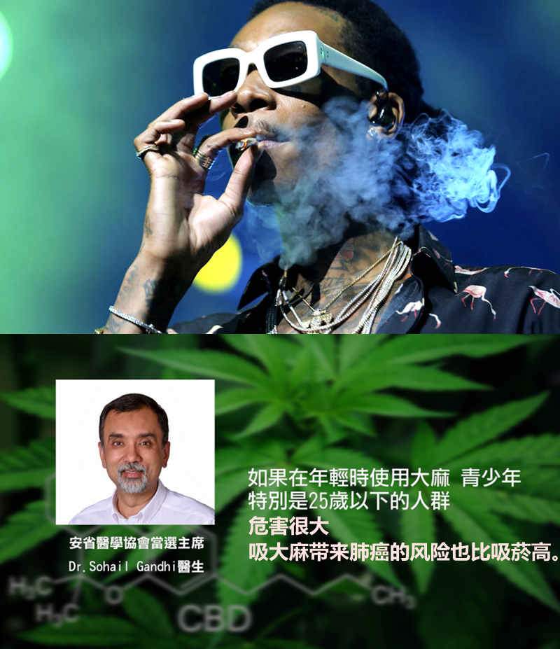 吸食大麻合法了!加拿大宣布大麻合法,网友:非常担忧啊