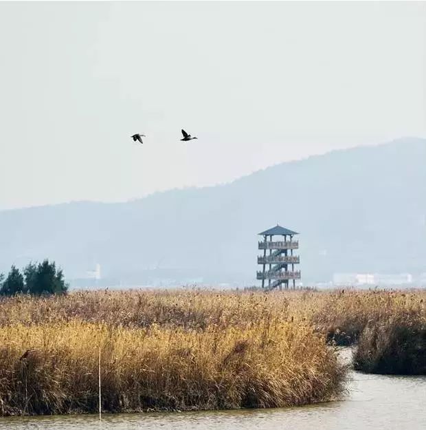 下一個網紅小城，比廈門安靜10倍，海鮮比三亞便宜2倍，還有條加州一號公路… 旅行 第58張