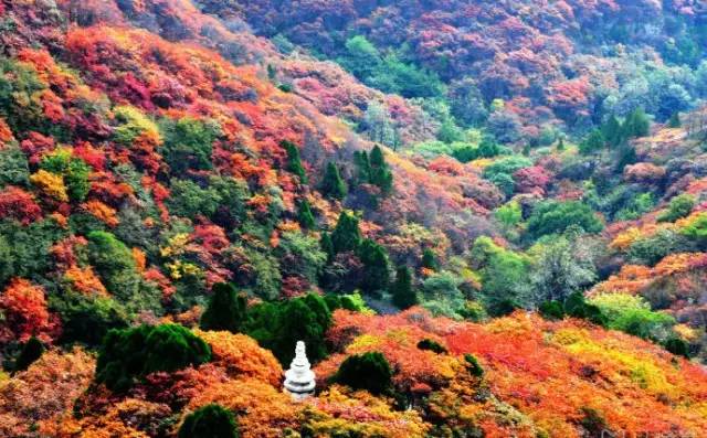 早乘车赴山东省重点风景名胜区中国临朐【石门坊风景区,石门坊,亦称