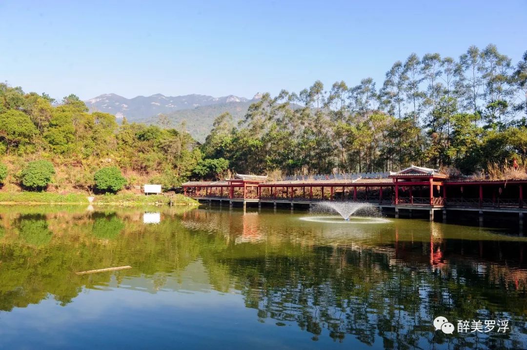 重阳登高之时,罗浮山清水湖首届娘酒节