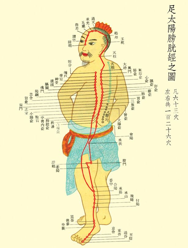 足太阳膀胱经于每天下午3点到5点气血最旺,在这个时候,如果你去刺激它