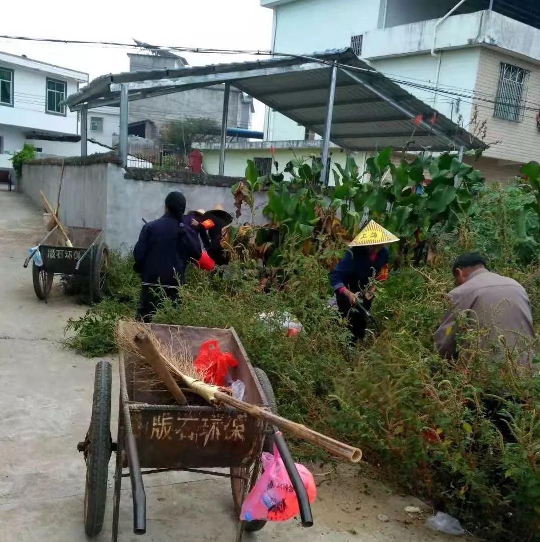 天心镇车头镇龙布镇凤山乡双芫乡改善农村人居环境,建设美丽宜居乡村