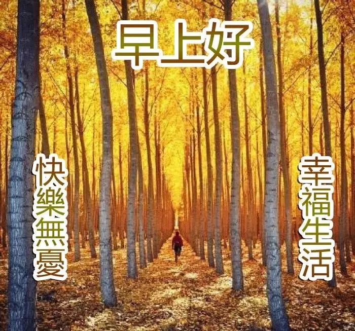 早上好祝福语送朋友早上好图片动态