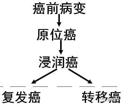 那么,原位癌与癌前病变之间有怎样的关系呢?