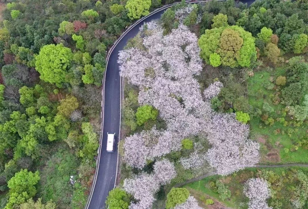 下一個網紅小城，比廈門安靜10倍，海鮮比三亞便宜2倍，還有條加州一號公路… 旅行 第52張