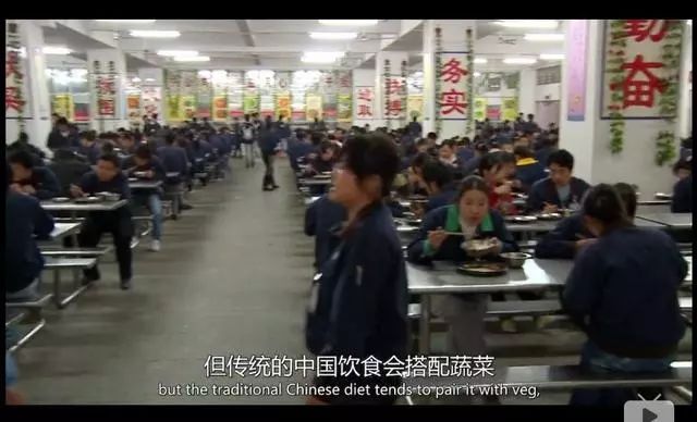 问了5000个人，才知道胖人和瘦人在饮食上竟然有这么魔幻的差异！