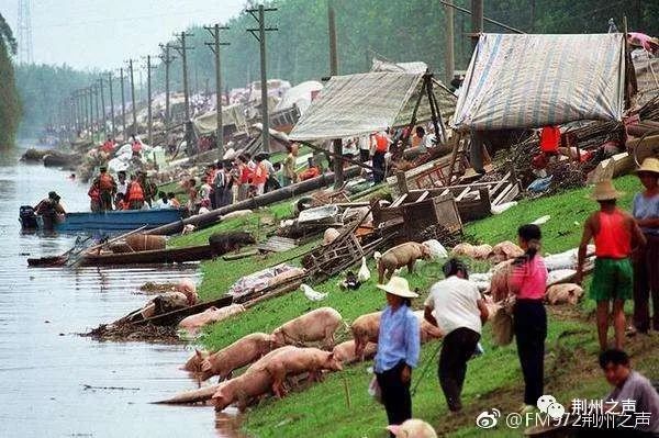 【城市荣耀】1998年:百万军民战胜特大洪水