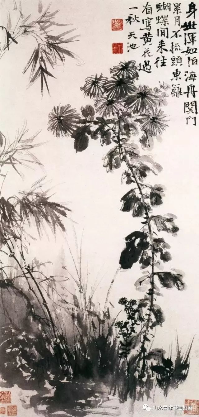 明 唐寅(1470～1523)《菊花图》纸本墨笔  【5】 菊花何太苦,遭此