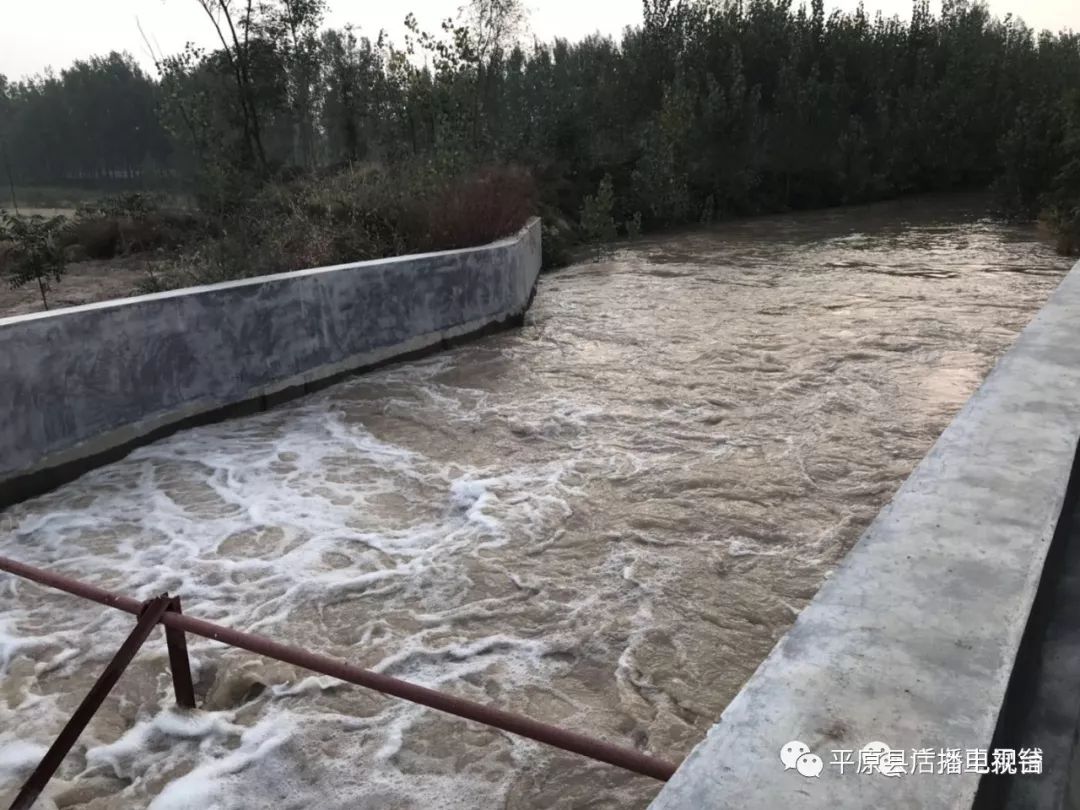 东水西调平原这个地方的大工程竣工马颊河水流入马碱竖河