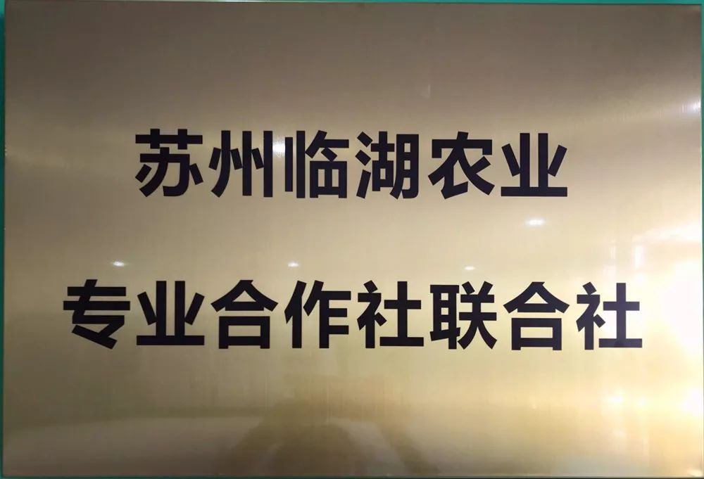 农业农村部副部长韩俊,副省长缪瑞林一行赴临湖镇调研农民专业合作社