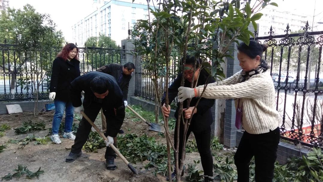 蓝桥社区丨传承好传统 党员挑大梁