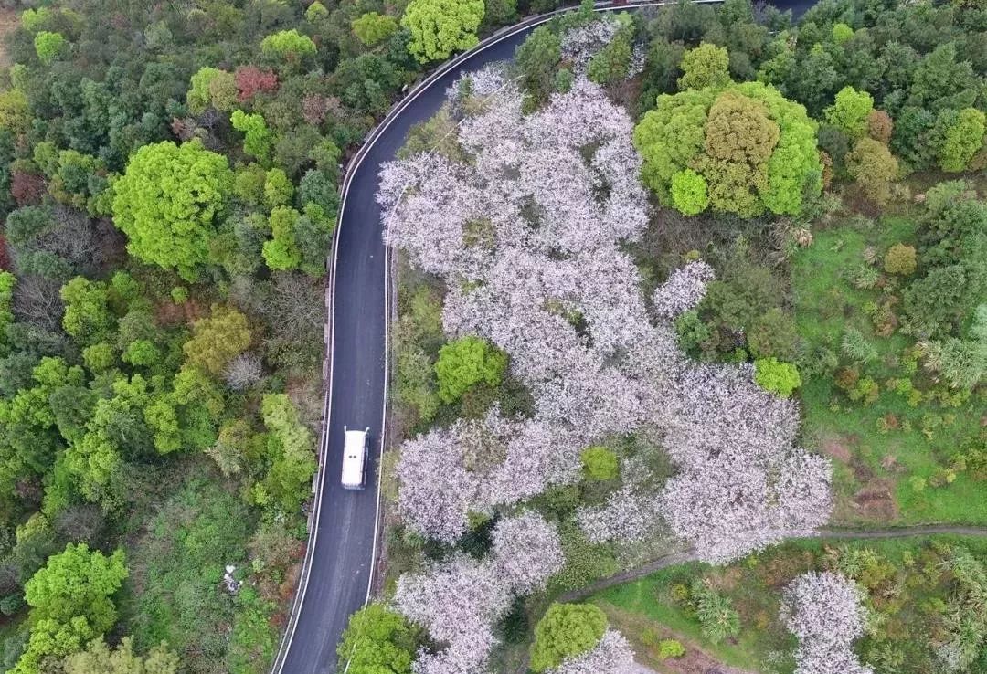 下一個網紅小城，比廈門安靜10倍，海鮮比三亞便宜2倍，還有條加州一號公路… 旅行 第5張