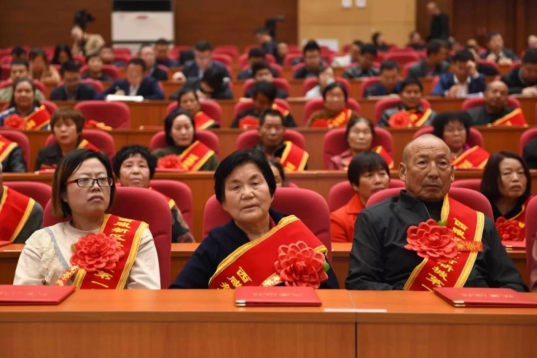 萍 赵忍科,王军玲,颜小莉,李桂仙,刘美荣 田蜜蜂,王 艳,田冰艳,孙淑侠