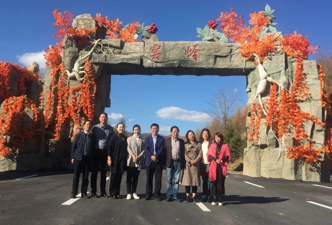 实地考察柳河县向阳镇云岭野山参生态旅游项目~返回搜狐,查看更多