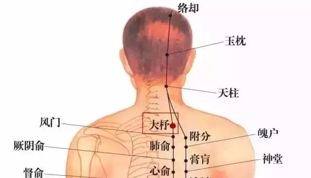 艾灸大杼穴具有强筋骨,通经络,调气血的作用.