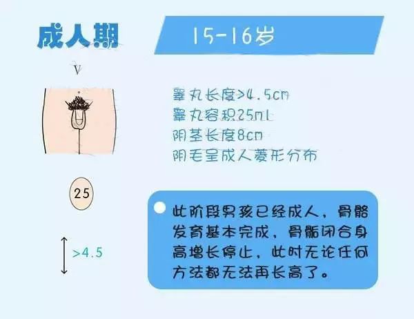 男孩第二性征发育特征另外,性早熟会让孩子在同龄人中显得"格格不入"