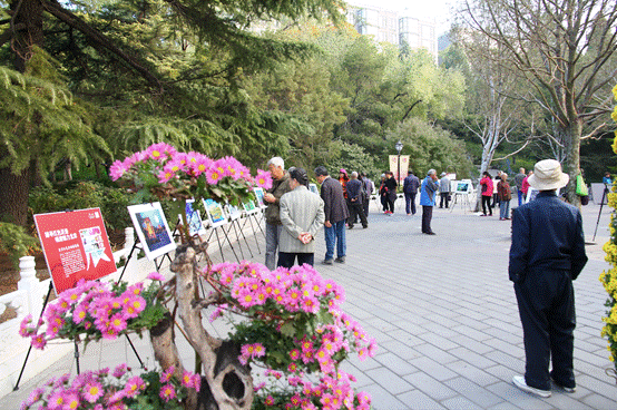 北京红色旅游摄影展与陶然亭公园菊花展相映生辉