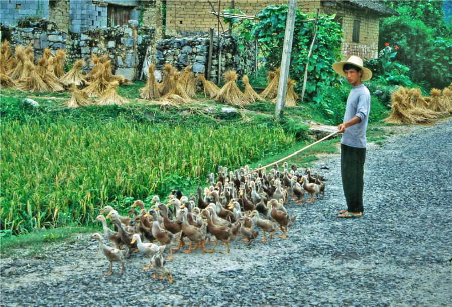 老照片1993年桂林农村还是中国传统乡村的味道