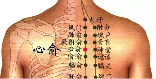 在突然发作时,指压胸骨旁的"俞府"可达到效果.俞府是在锁骨正下面.