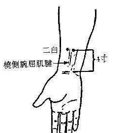 艾灸以下几个穴位就可以:那么,中医是怎么看待痔疮的呢?