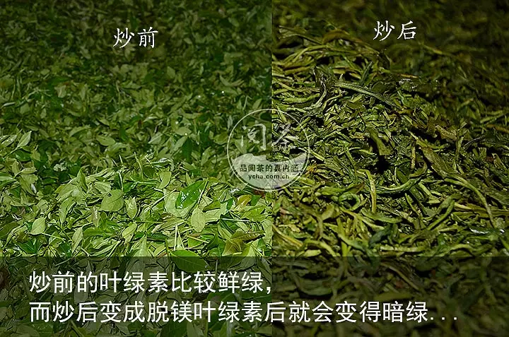 茶叶成分五极富情调的茶色素上篇