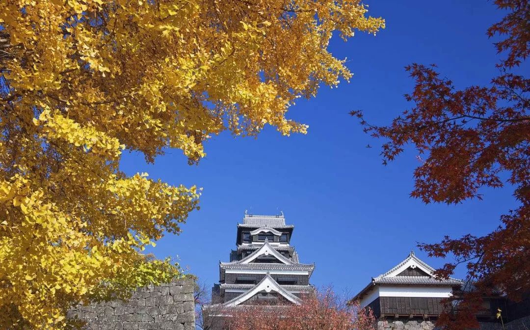 这里的枫叶红了 北海道