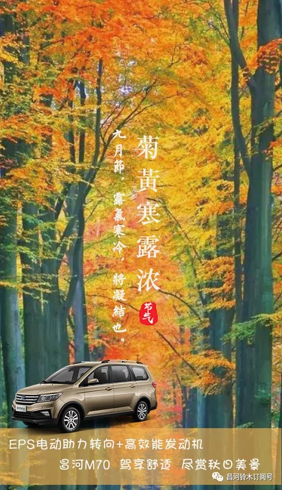 寒露丨风入蒹葭秋色动_搜狐汽车_搜狐网