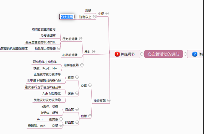 心血管活动调节思维导图模板分享