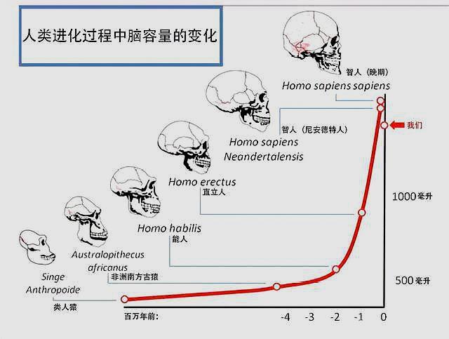 减少人口容量_人口容量的思维导图(3)