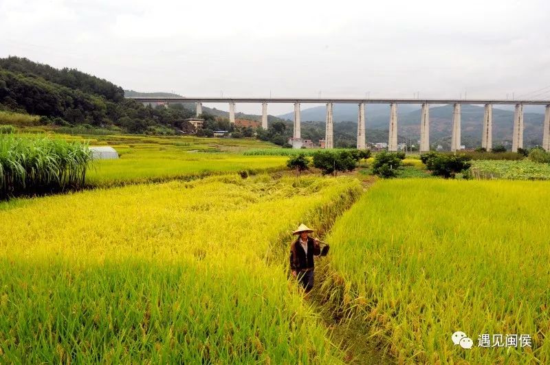 昔日贫困村,今朝"艺术村",快来瞧一瞧闽侯大坂村的完美蜕变