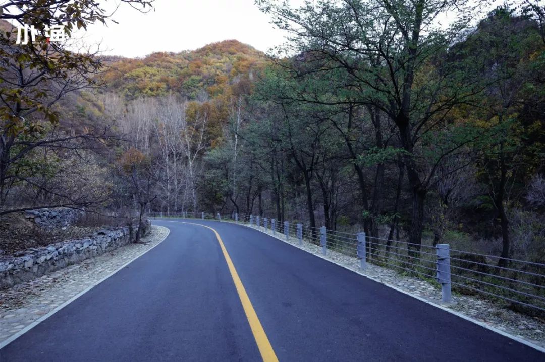 拍摄者:周博路边风景系数不尽静静地听歌静静地听河水潺潺流动的声音