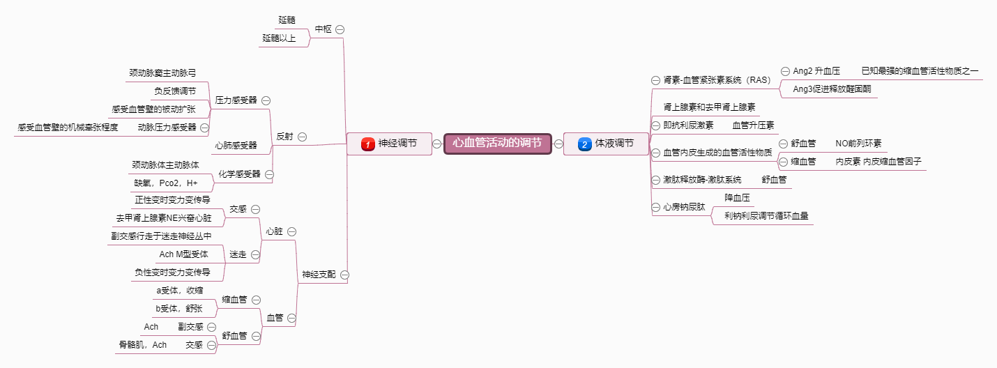 心血管活动调节思维导图模板分享