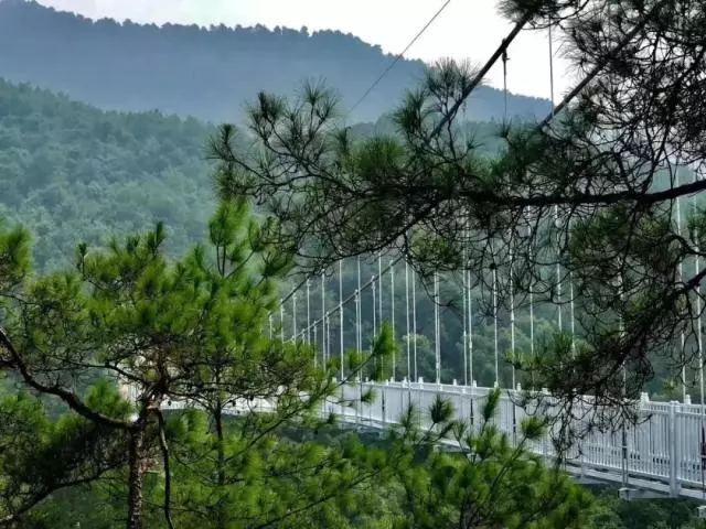 灵川逍遥湖景区玻璃桥成为黄金周的爆点