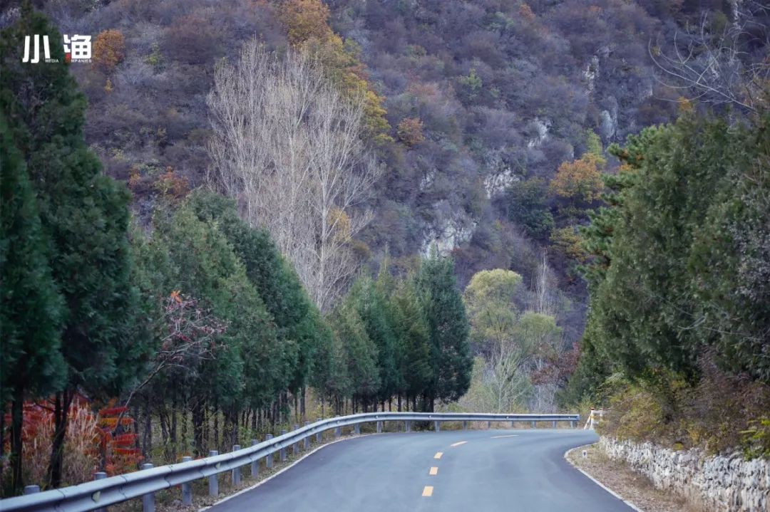 最美乡村路丨邂逅琉璃庙镇延琉路