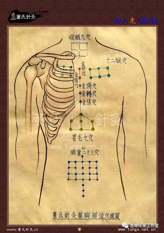 董氏奇穴特针赋及穴位图谱大全