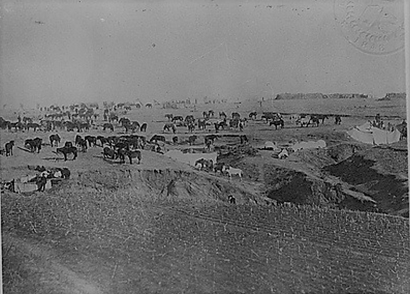 照片拍摄于甲午战争期间,日军进攻至辽东半岛,此时甲午战争已经进入
