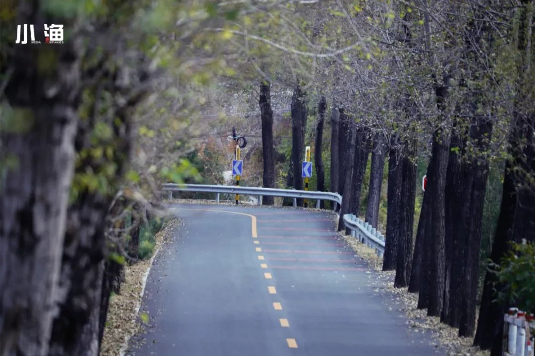 最美乡村路丨邂逅琉璃庙镇延琉路