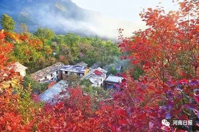 河南拟认定第二批74个乡村旅游特色村!看有你老家没?