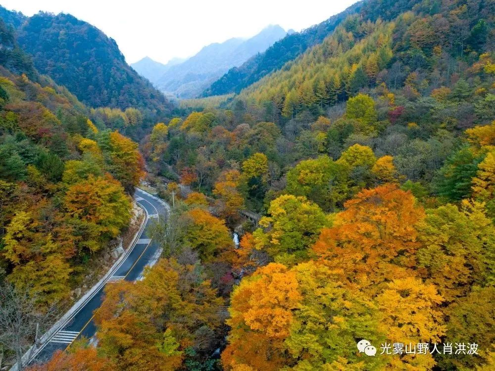 光雾山红叶节开幕了!快来看漫山红遍