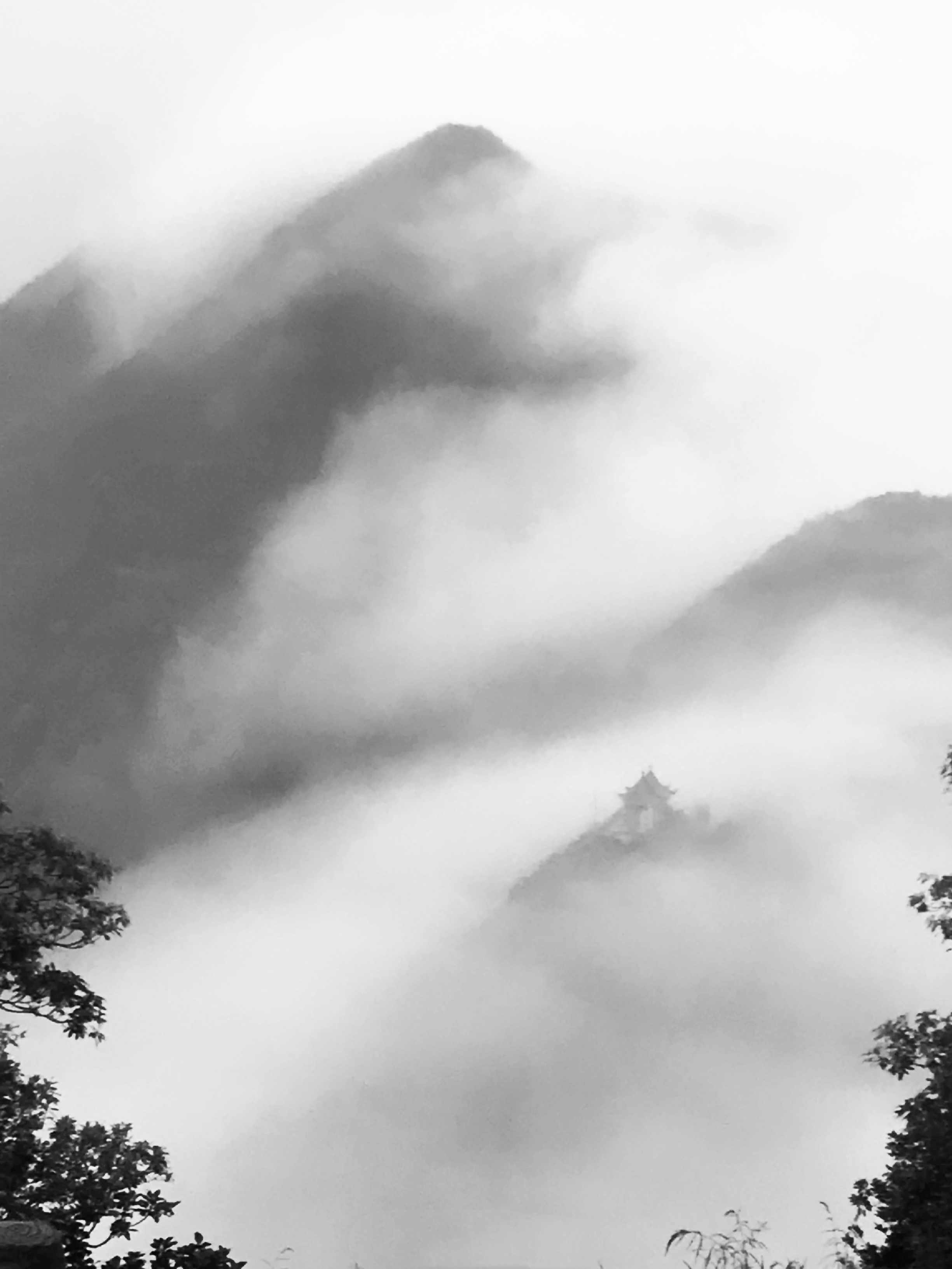 黑白镜头记录深圳烟雨梧桐,带厚衣服山上现在很冷