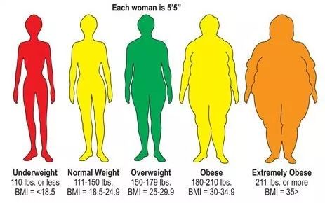 身高162体重100算胖吗 爱言情