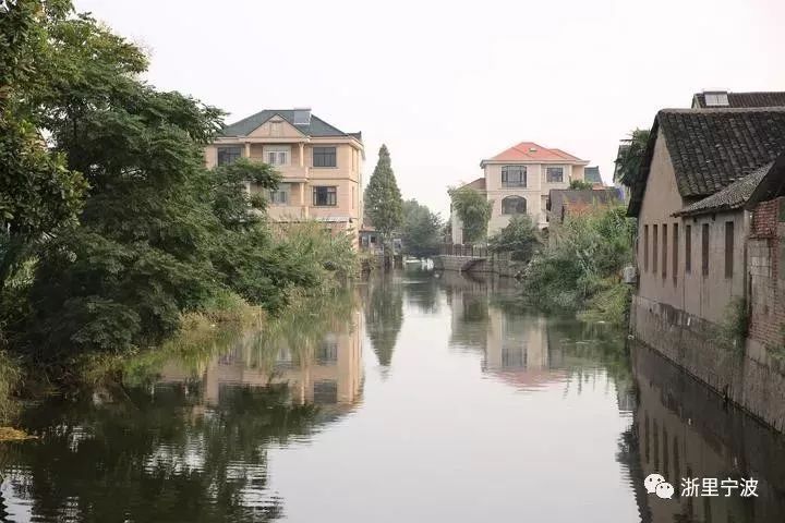 河洪村宁海县深甽镇龙宫村宁海县深甽镇溪滨村象山县茅洋乡溪东村长按